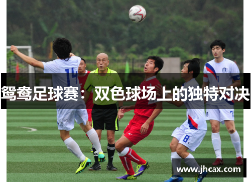 鸳鸯足球赛：双色球场上的独特对决